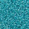 MIYUKI Round Rocailles Beads X-SEED-G009-RR0647-3
