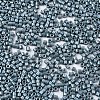 FGB 11/0 Grade A Baking Paint Glass Seed Beads SEED-S030-1040-2