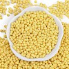 Baking Paint Glass Seed Beads X1-SEED-K010-A26-3