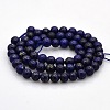Dyed Natural Lapis Lazuli Round Beads Strands G-N0120-01-6mm-2