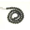 Electroplate Natural Labradorite Beads Strands X-G-L150-8mm-01-4