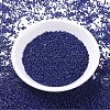 MIYUKI Delica Beads SEED-MY11-DB2143-2
