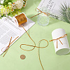 Sparkle Nylon Ribbon OCOR-GF0004-48A-02-3