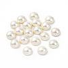 Shell Pearl Half Drilled Beads BSHE-G011-01-12mm-1