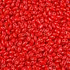 Baking Paint Glass Seed Beads SEED-T006-03S-2