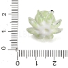 Handmade Lampwork Beads LA-CBA1426-01D-3