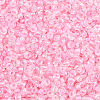12/0 Glass Seed Beads SDB210-1