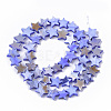 Freshwater Shell Beads Strands SHEL-T014-009A-2