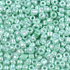 12/0 Glass Seed Beads SEED-S060-A-F408-01-3