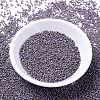 MIYUKI Delica Beads SEED-X0054-DB1065-2