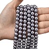 Eco-Friendly Dyed Glass Pearl Round Beads Strands HY-A002-10mm-RB028-6