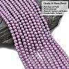 Eco-Friendly Dyed Glass Pearl Round Beads Strands HY-A002-4mm-RB056-2