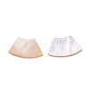 Shell Cabochons SSHEL-L012-03A-2