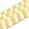 Dyed Natural Selenite Beads Strands G-T138-232J-1