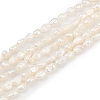 Natural Cultured Freshwater Pearl Beads Strands PEAR-P064-20E-01A-2