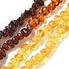 Gradient Color Natural Amber Beads Strands G-K387-F01-01-2