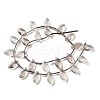 Natural Smoky Quartz Beads Strands G-P607-A10-01-3