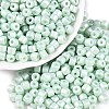 Baking Paint Pearlized Glass Seed Beads SEED-T008-03P-1