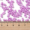 Glass Seed Beads SEED-L011-04A-05-4