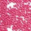 Baking Paint Glass Seed Beads SEED-A032-02M-3