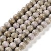 Natural Rainbow Alashan Agate Beads Strands G-NH0022-A09-02-1