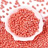 Baking Paint Pearlized Glass Seed Beads SEED-T008-03J-2