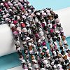 Dyed Natural Fire Crackle Agate Beads Strands G-G007-01B-2