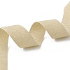 Polyester Ribbons SRIB-L051-15mm-C004-3