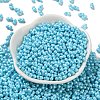 Glass Seed Beads SEED-L011-04A-11-2
