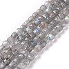 Natural Labradorite Beads Strands G-D0003-B10-1