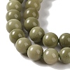 Natural Alashan Agate Beads Strands G-P530-B05-02-4