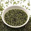 Glass Seed Beads SEED-S042-04B-25-2