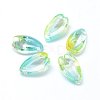 Transparent Glass Charms GLAA-H016-12L-6-2