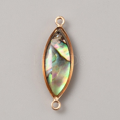 Natural Paua Shell Connector Charms KK-WH0062-100KCG-B-1
