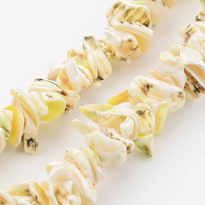 Natural Shell Bead Strands BSHE-P010-02-1