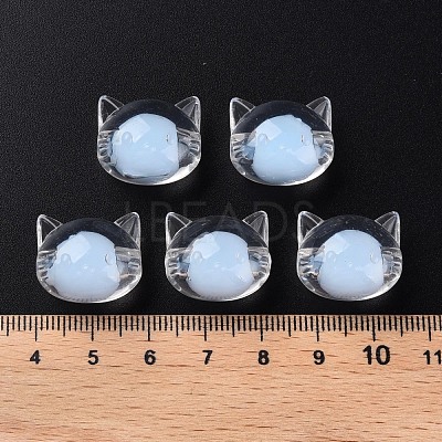 Transparent Acrylic Beads MACR-S373-115-B08-1