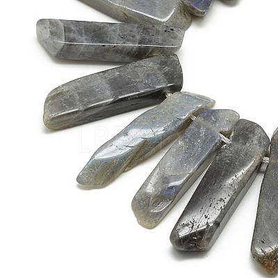 Natural Labradorite Beads Strands G-R419-03-1