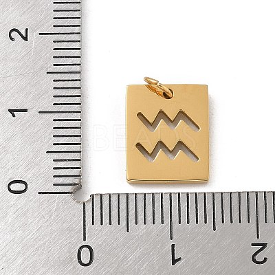 304 Stainless Steel Charms STAS-R001-03G-11-1