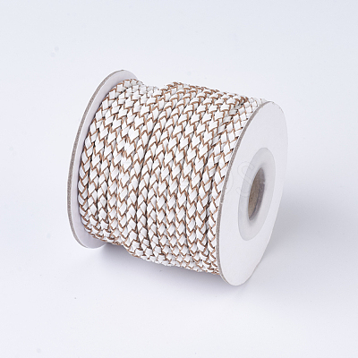 Braided Leather Cords WL-P002-12-A-1