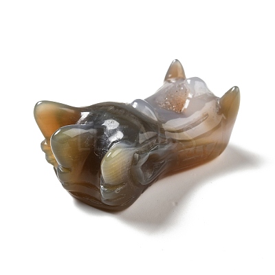 Natural Brazilian Agate Display Decorations DJEW-A008-05-1