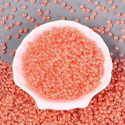 FGB Glass Seed Beads SEED-Q040-08A-05-1