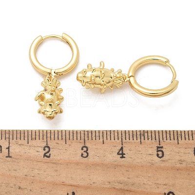Brass Cubic Zirconia Hoop Earrings EJEW-Q015-01G-A-1