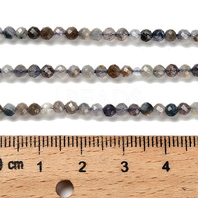Natural Iolite Beads Strands G-RM2025-22-3mm-1