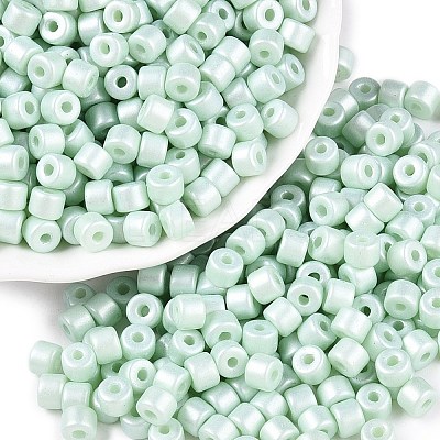 Baking Paint Pearlized Glass Seed Beads SEED-T008-03P-1
