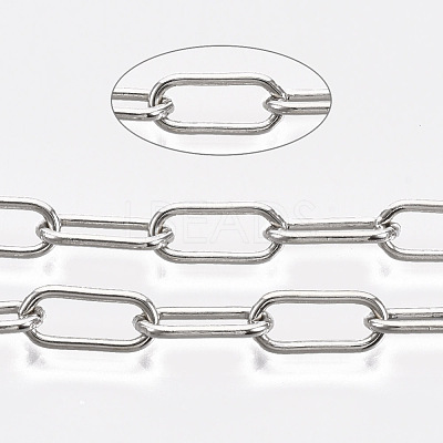 Unwelded Iron Paperclip Chains CH-S125-09A-P-1