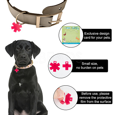 Transparent Blank Acrylic Pet Dog ID Tag PALLOY-AB00040-1