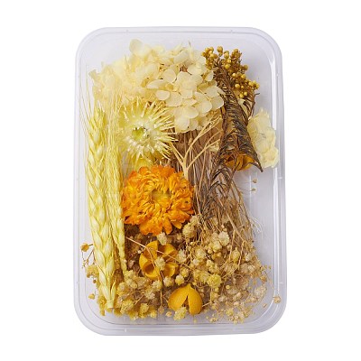 Dried Flowers DIY-D052-20-1