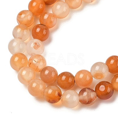Natural Red Agate Beads Strands G-A248-A06-01-1