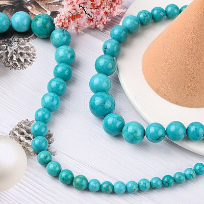 Natural Magnesite Graduated Beads Strands G-F604-01-1