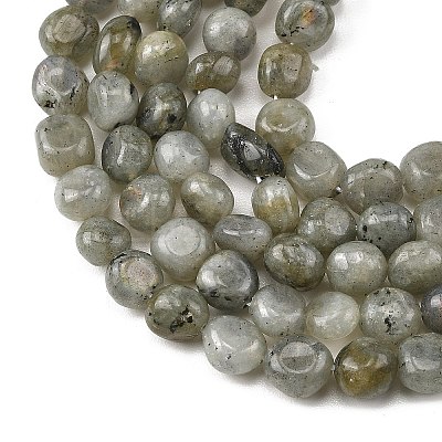 Natural Labradorite Beads Strands G-P623-A03-02-1